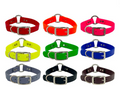 20" Beta Collar With Beta & Center Ring - 1.5" Wide
