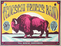 2023 Tedeschi Trucks Band - Ft. Worth Silkscreen Concert Poster by Ivan Minsloff