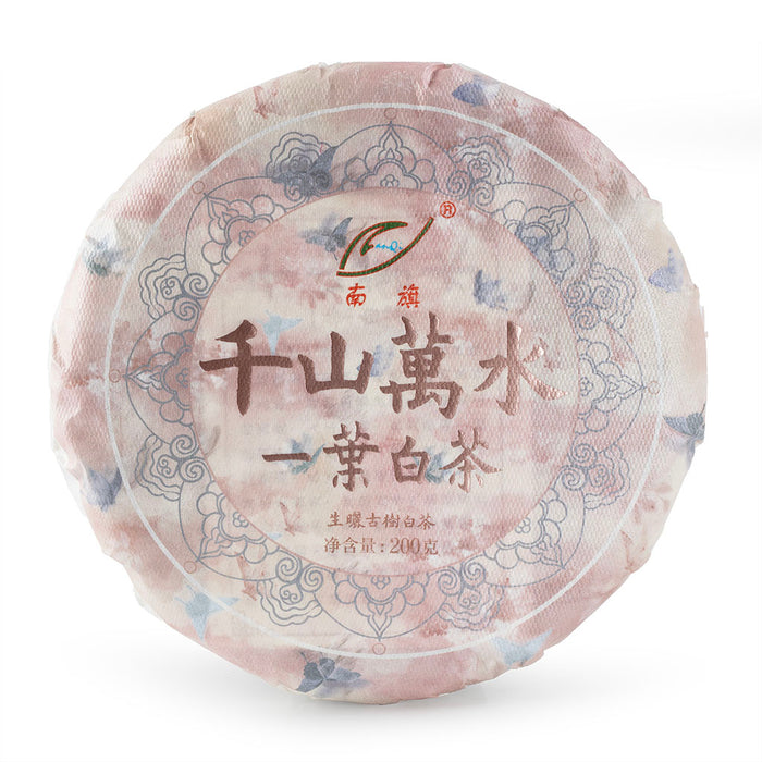 2024 Yi Ye White Tea Cake 200g