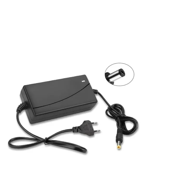 42V 2A/ DC5.5*2.5/2.1mm[EU Plug] dual wire