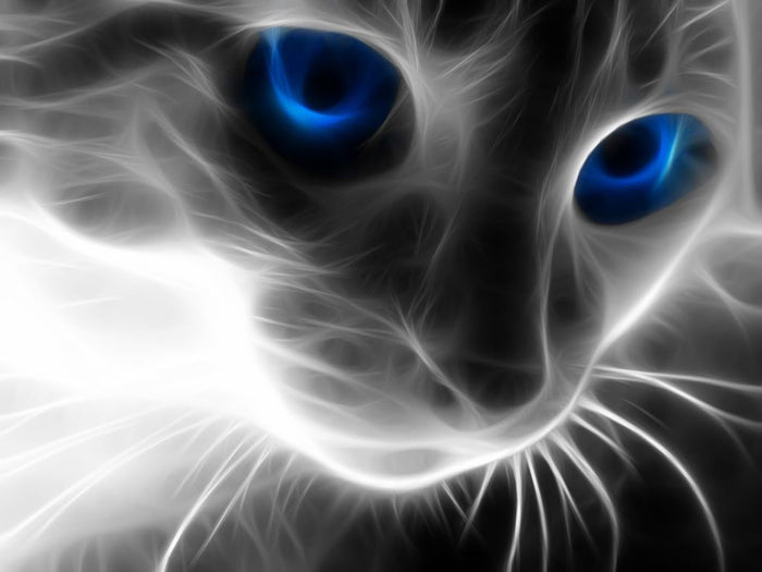 5d Cat Diamond Painting Kit Premium-58