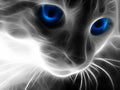 5d Cat Diamond Painting Kit Premium-58