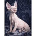 5d Cat Diamond Painting Kit Premium-60