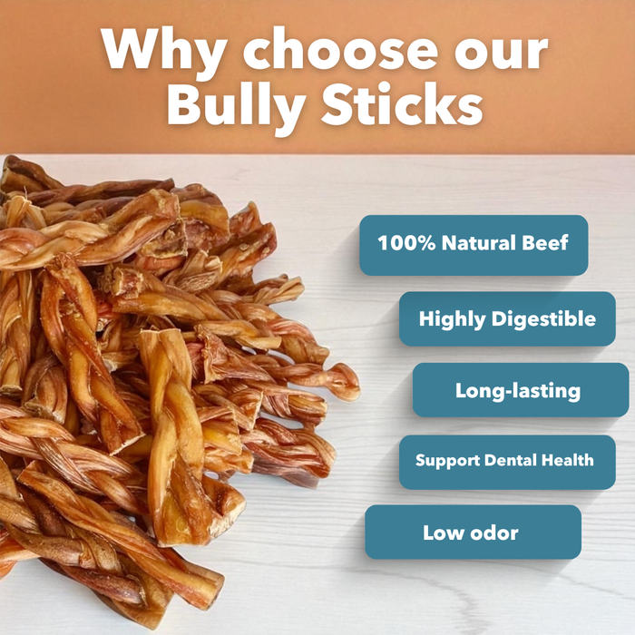 6" Thick Braided Bully Sticks-2