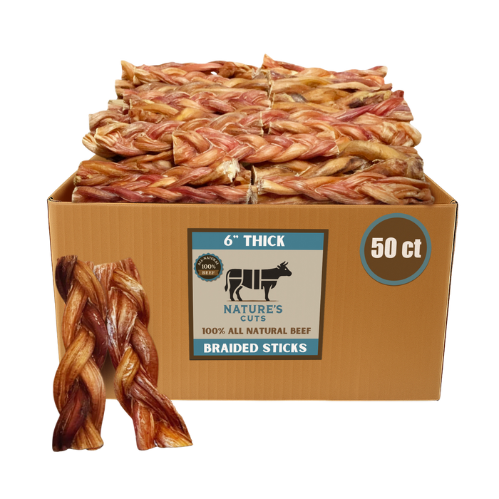 6" Thick Braided Bully Sticks-5
