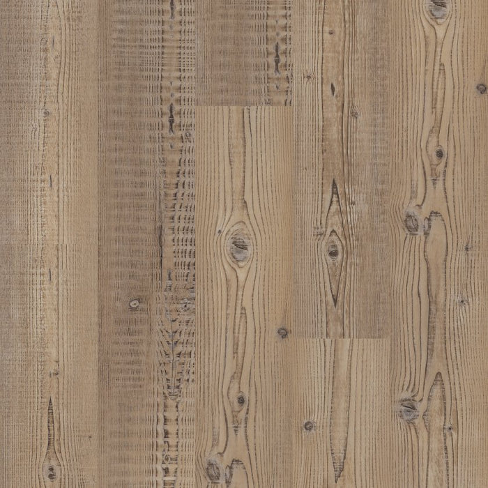 Accent Pine - Anvil Plus Flooring by Shaw