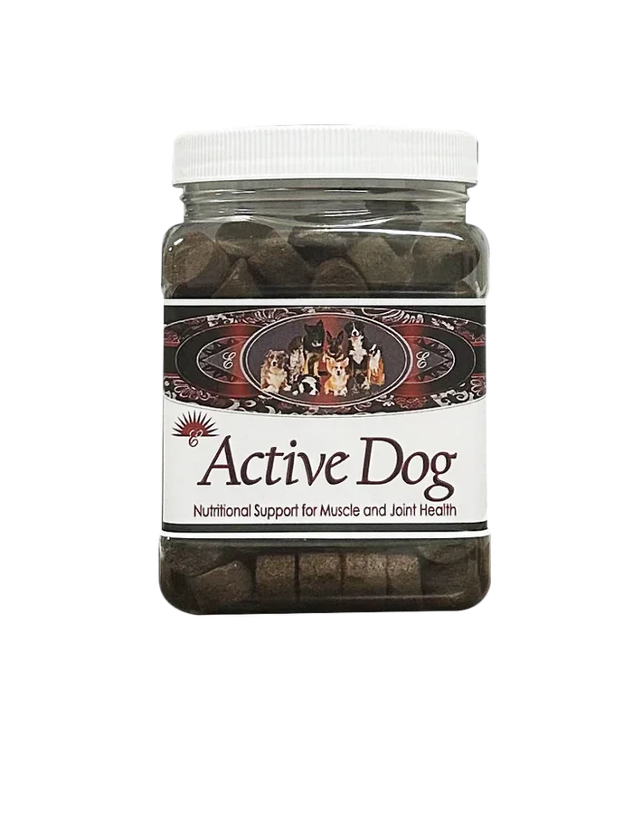 Active Dog