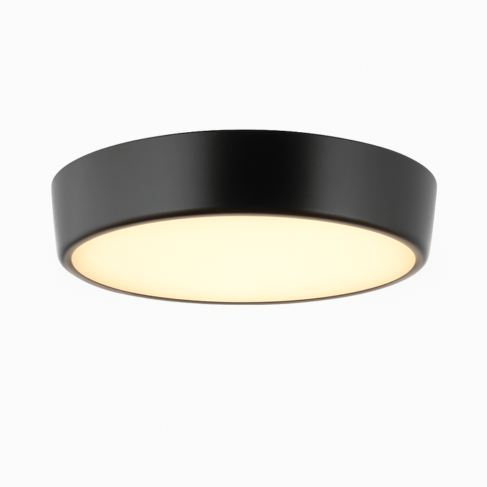 Balzheim Ceiling Light