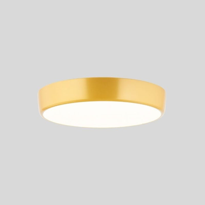 Balzheim Ceiling Light