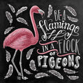 Be A Flamingo Colors Diamond Painting Kit - DIY