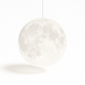 Bearing Pendant Light