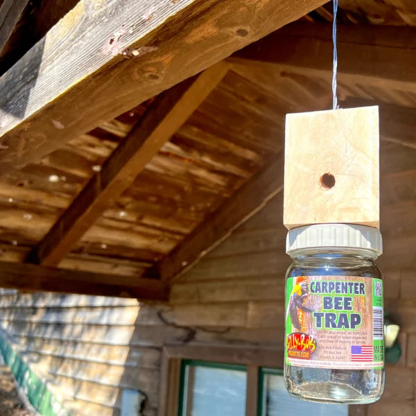 Billy Bob Billy Bob Carpenter Bee Trap – Hanging Outdoor Trap