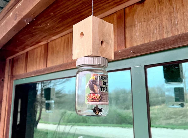 Billy Bob Billy Bob Carpenter Bee Trap – Hanging Outdoor Trap