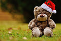 Christmas Diamond Painting Kit 5D - DIY Season 2-89
