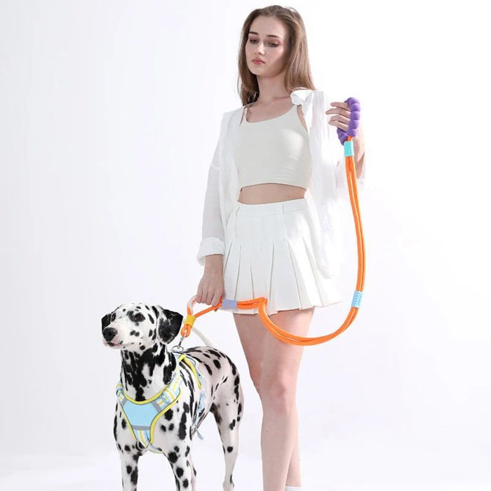 Comfortable Dog Traction Leash – Your Perfect Companion for Safe and Secure Walks