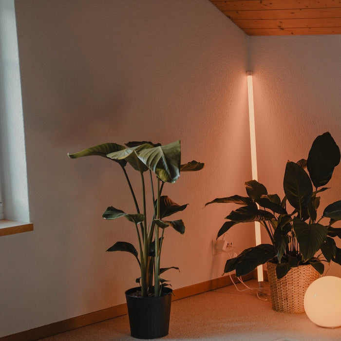 Diopter Floor Lamp