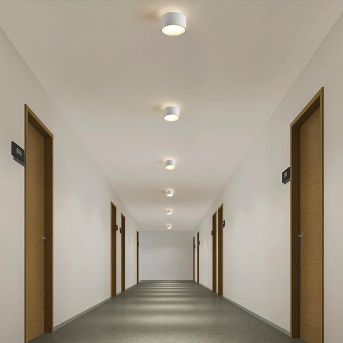 Eltang Ceiling Light