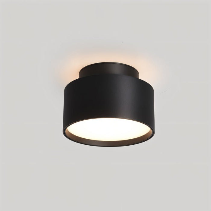 Eltang Ceiling Light