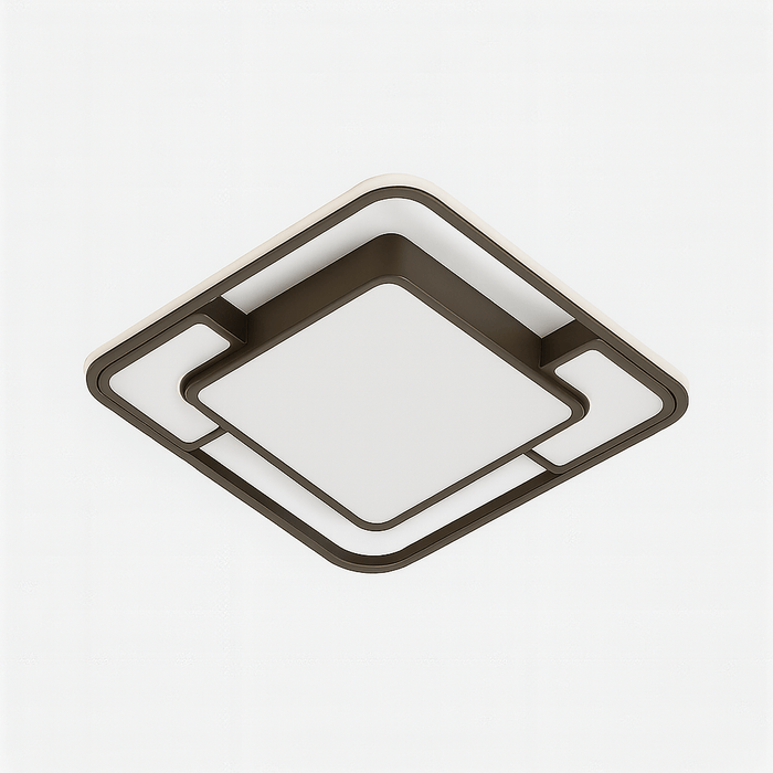 Fluke Ceiling Light
