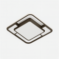 Fluke Ceiling Light