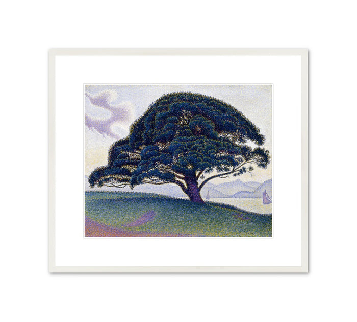 Framed Print | Paul Signac "The Bonaventure Pine"