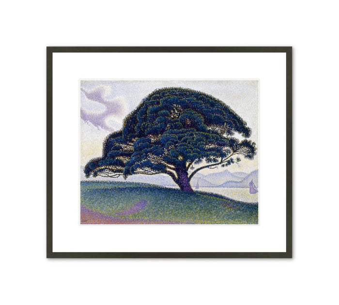 Framed Print | Paul Signac "The Bonaventure Pine"