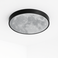 Hatch Ceiling Light