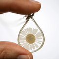 Large Teardrop Necklace - Wild Daisy