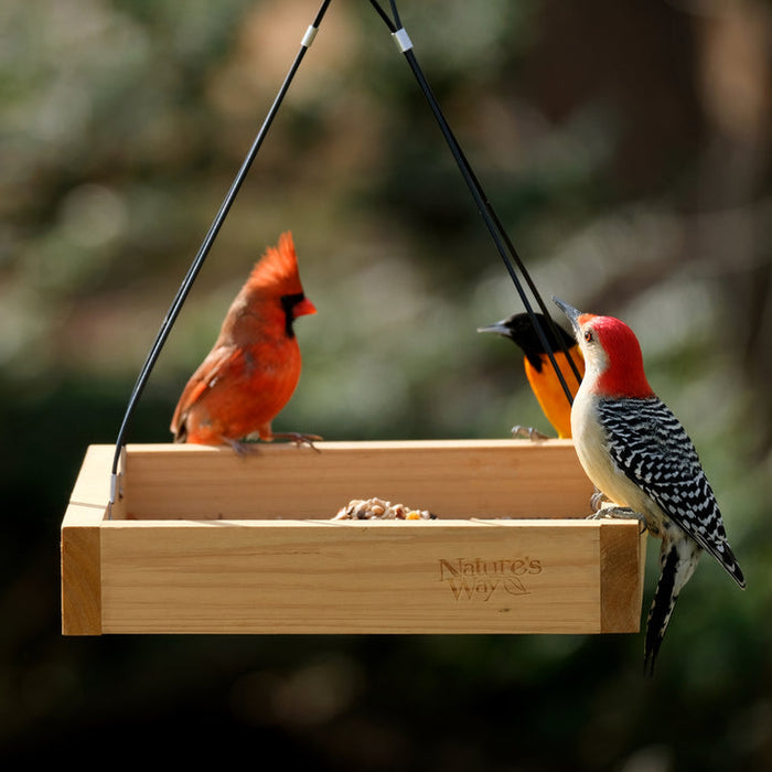 Nature's Way Hanging Platform Feeder