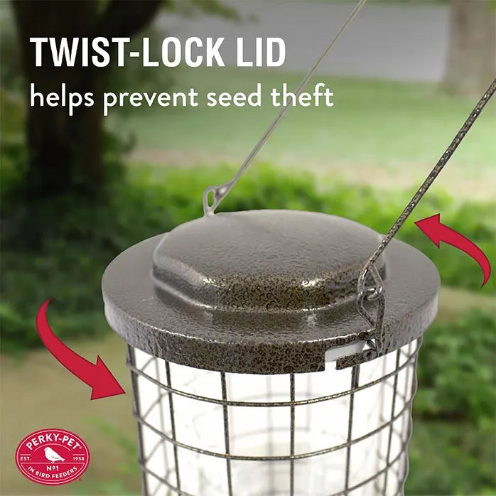 Perky-Pet® Squirrel Stumper Wild Bird Feeder