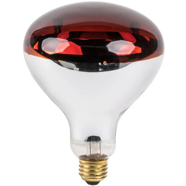 Power Zone Red Heat Lamp Bulb 250W