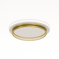 Premise Ceiling Light