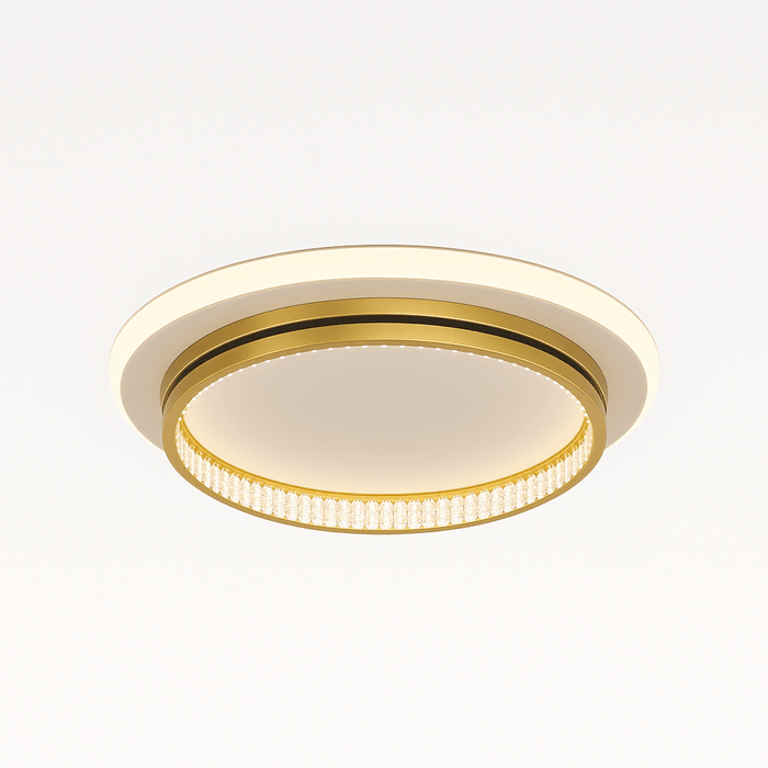 Premise Ceiling Light