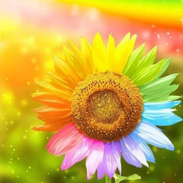 Rainbow Flowers Diamond Painting Kit - DIY Rainbow Flowers-1
