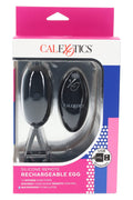 Black silicone remote egg vibrator with matching wireless controller; 12 functions, waterproof design, and USB-rechargeable power.