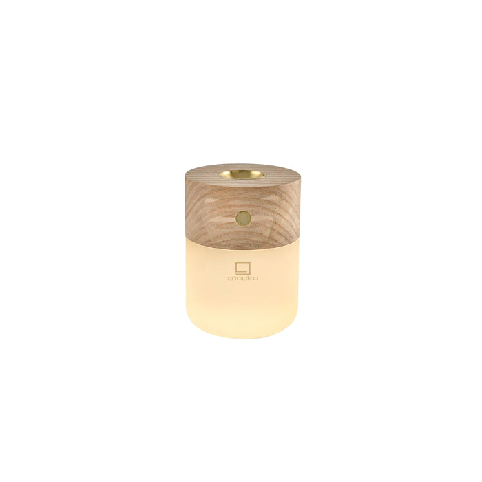 Smart Diffuser Lamp | Multiple Colors
