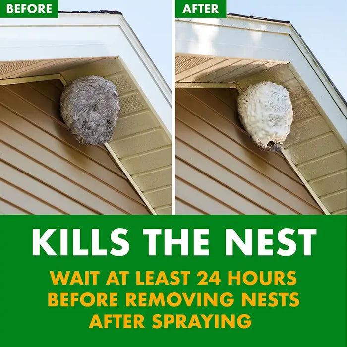 SPECTRACIDE Foaming Wasp & Hornet Killer
