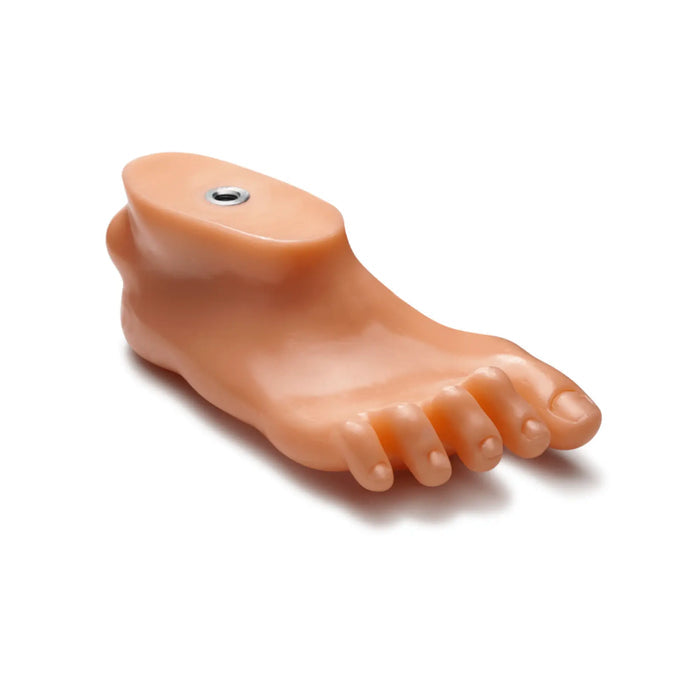 Table stand for foot model for training purposes - Ruck Ruck