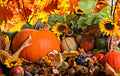 Thanksgiving Day Happy Diamond Painting Kit - DIY