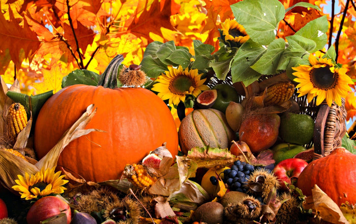 Thanksgiving Day Happy Diamond Painting Kit - DIY