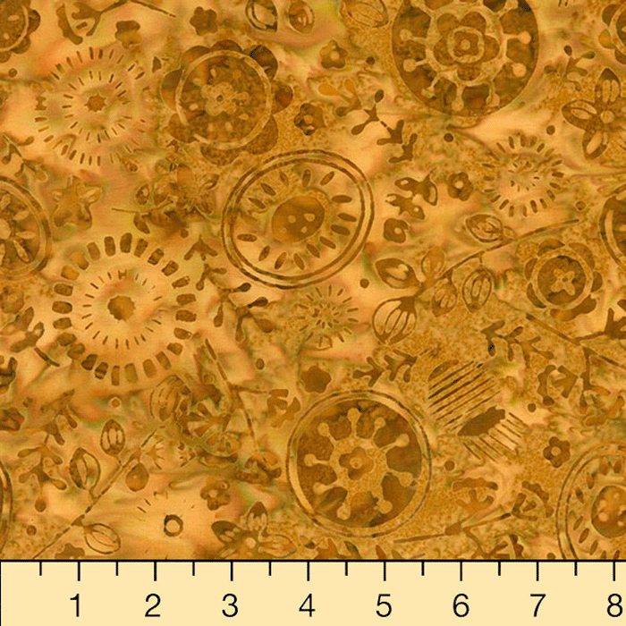 Nutmeg - Amber