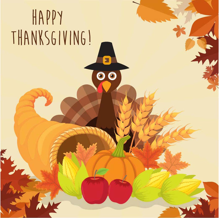 Turkey Thanksgiving Day Diamond Painting Kit - DIY