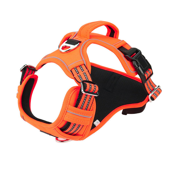 Orange / S