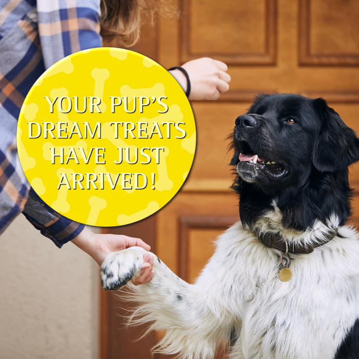 Zignature Turkey Soft Moist Treats for Dogs